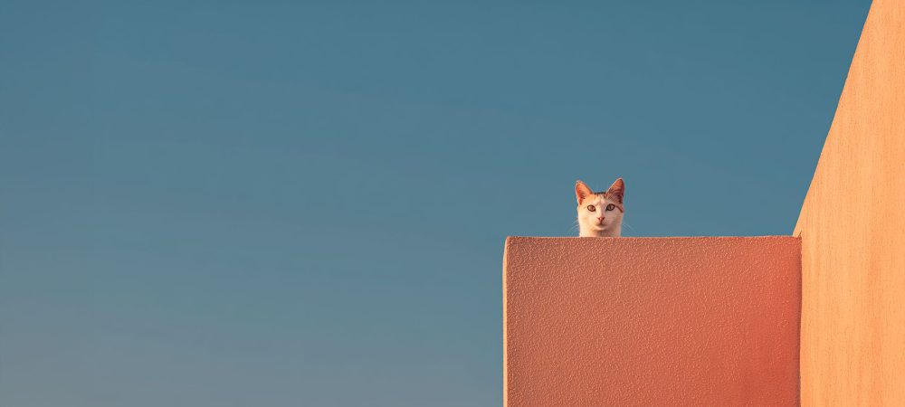 og alimiau