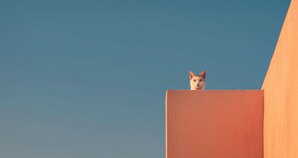 og alimiau