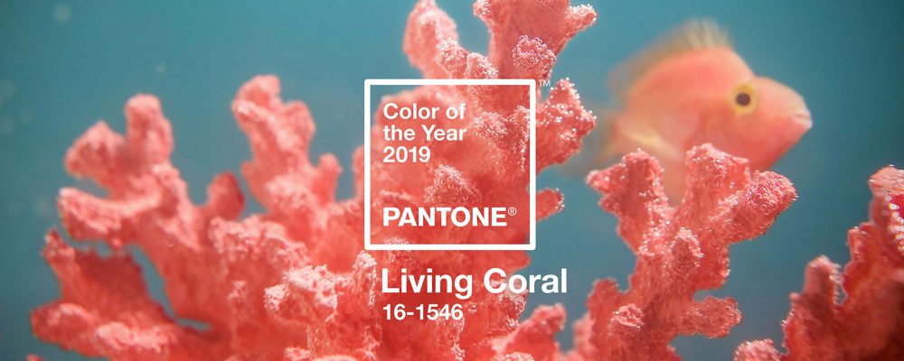 pantone-colour-of-year-2019-living-coral-design_dezeen_hero