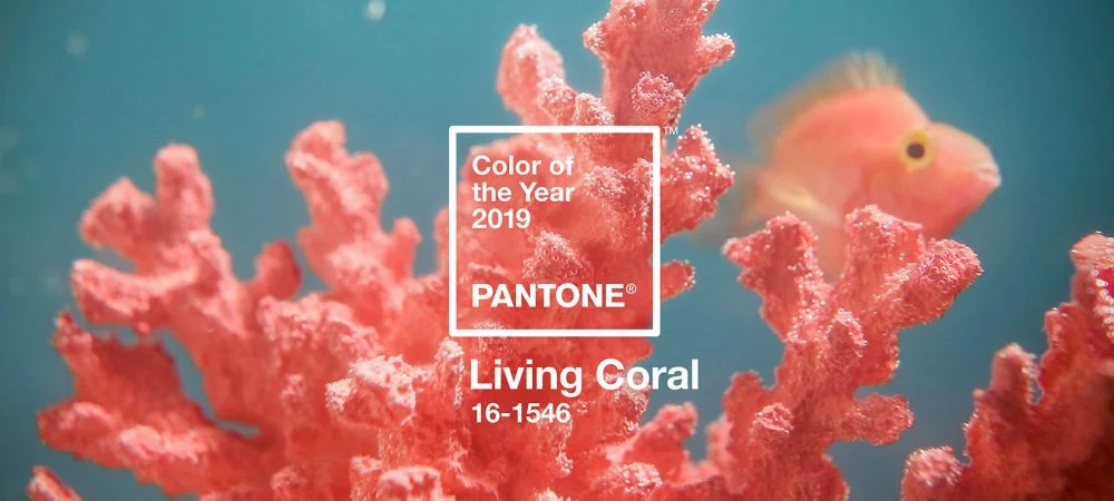 pantone-colour-of-year-2019-living-coral-design_dezeen_hero