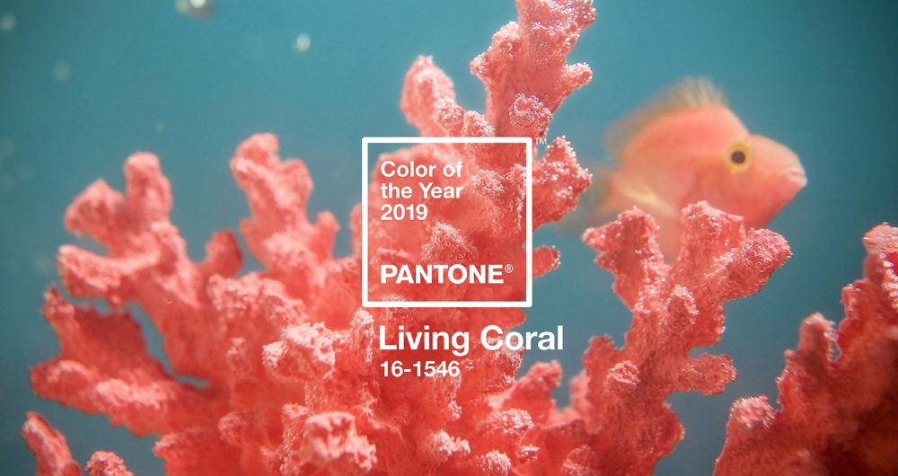pantone-colour-of-year-2019-living-coral-design_dezeen_hero