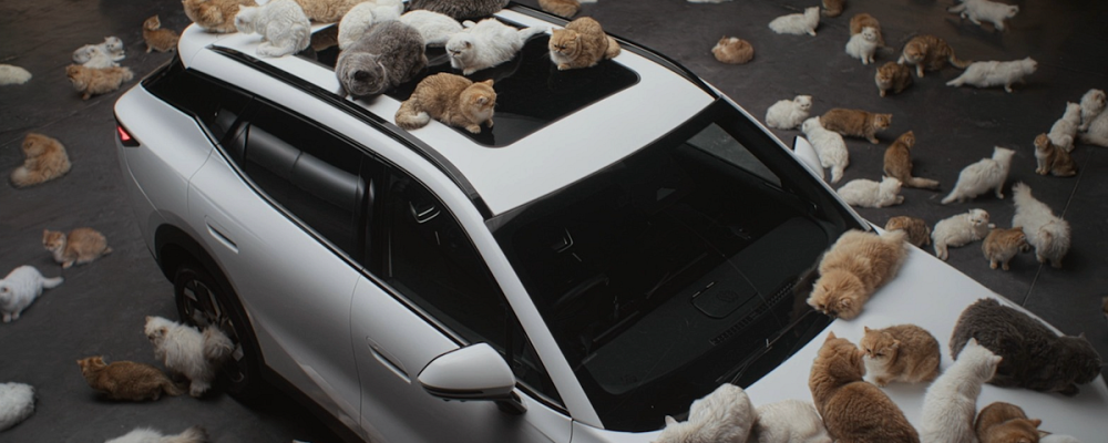 screenshot-2026-02-24-at-16.30.54