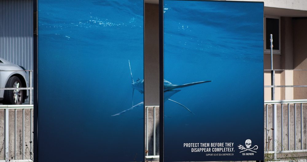 sea-shepherd-double-billboard-outdoor-418288-adeevee
