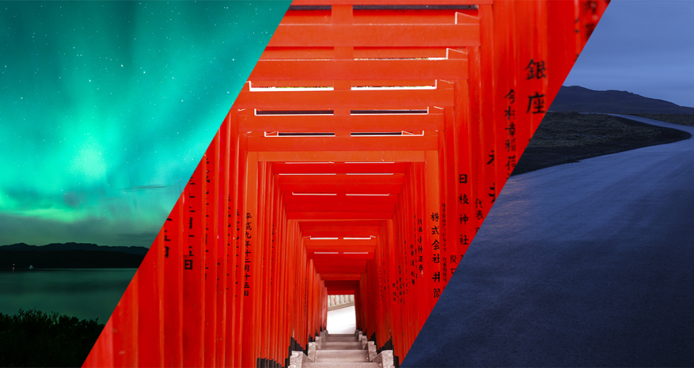 shutterstock color trend 2020