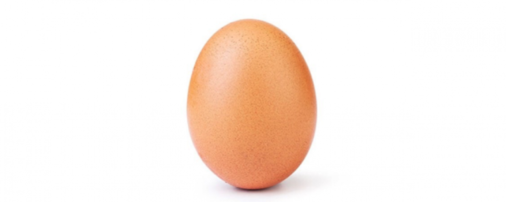 world-record-egg-likes-instagram